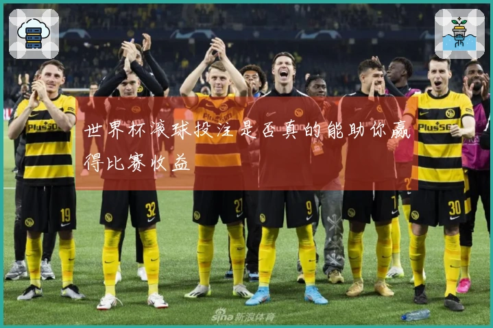 世界杯滚球投注是否真的能助你赢得比赛收益