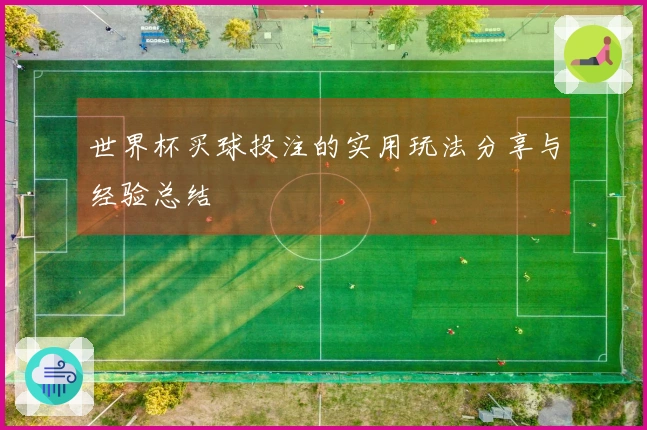 世界杯买球投注的实用玩法分享与经验总结