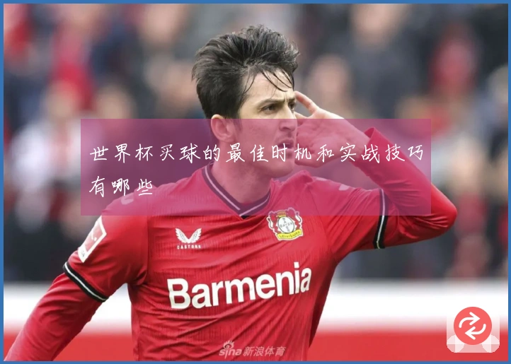 世界杯买球的最佳时机和实战技巧有哪些