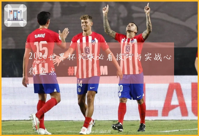 2026世界杯买球必看技巧与实战心得盘点