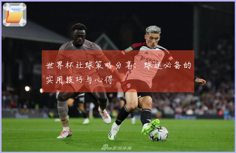 世界杯让球策略分享：球迷必备的实用技巧与心得