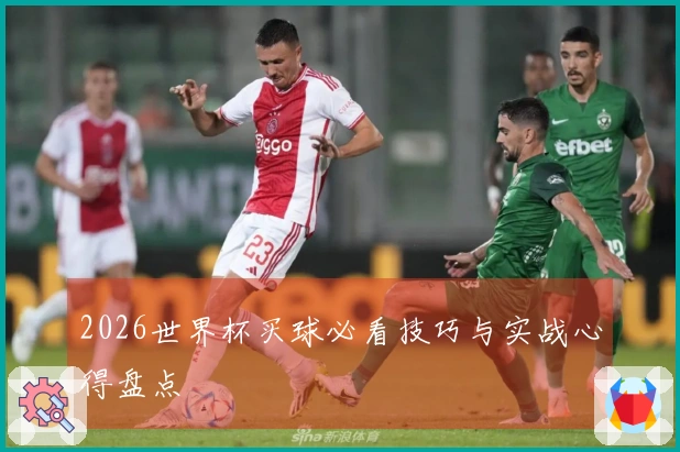 2026世界杯买球必看技巧与实战心得盘点
