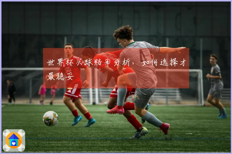 世界杯买球赔率分析，如何选择才最稳妥