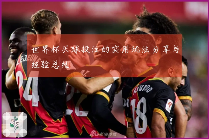 世界杯买球投注的实用玩法分享与经验总结