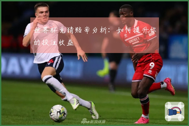 世界杯竞猜赔率分析：如何提升你的投注收益
