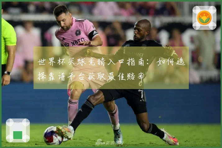 世界杯买球竞猜入口指南：如何选择靠谱平台获取最佳赔率