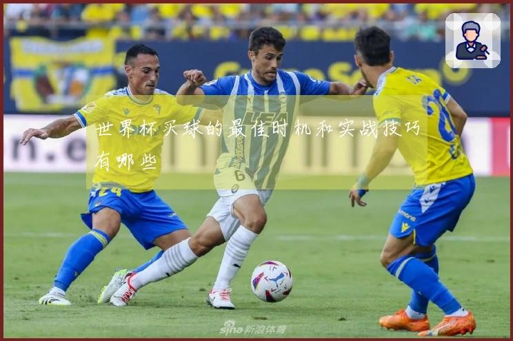 世界杯买球的最佳时机和实战技巧有哪些